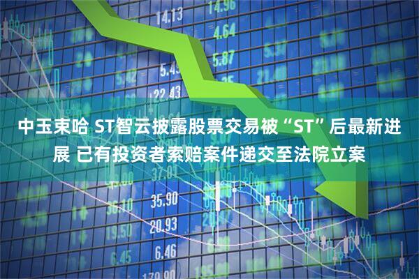 中玉束哈 ST智云披露股票交易被“ST”后最新进展 已有投资者索赔案件递交至法院立案