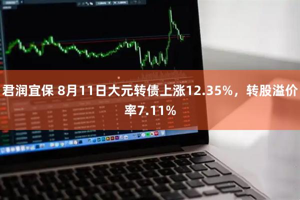君润宜保 8月11日大元转债上涨12.35%，转股溢价率7.11%